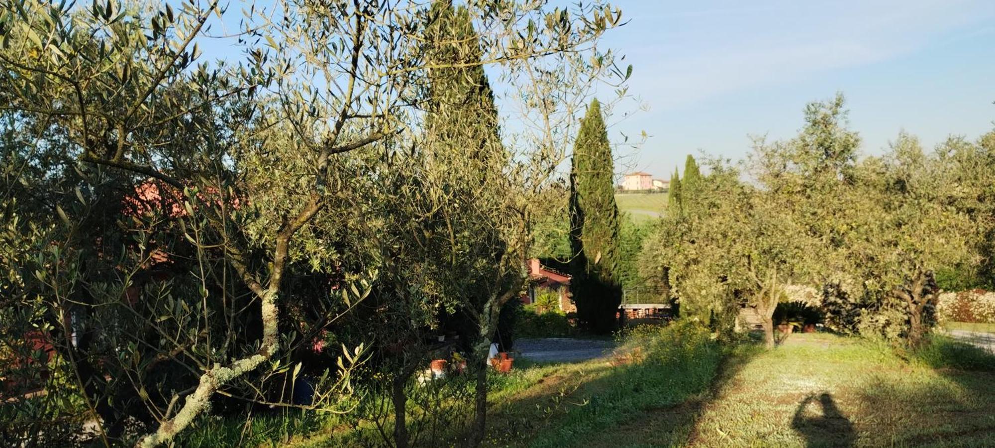 Al Sangallo Agriturismo Montecarlo Zewnętrze zdjęcie