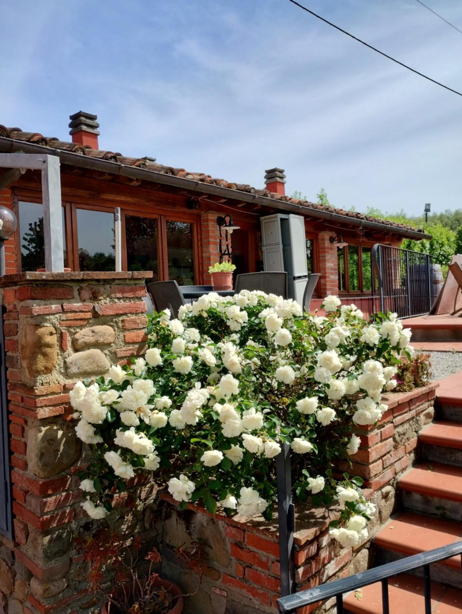 Al Sangallo Agriturismo Montecarlo Zewnętrze zdjęcie